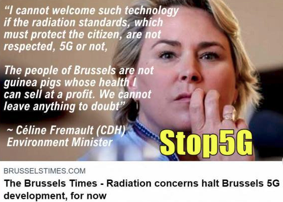 I cannot welcome such technology if the radiation standards, which must protect the citizen, are not respected, 5G or not," Environment minister Céline Fremault (CDH) told Bruzz. "The people of Brussels are not guinea pigs whose health I can sell at a profit. We cannot leave anything to doubt
