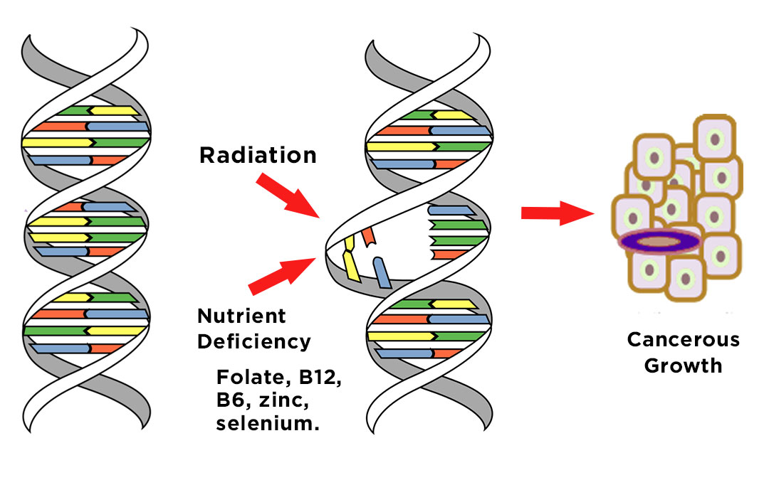 DNA Damage after Exposure to Radiofrequency Stop5G