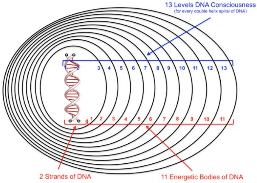 13 úrovní vědomí DNA