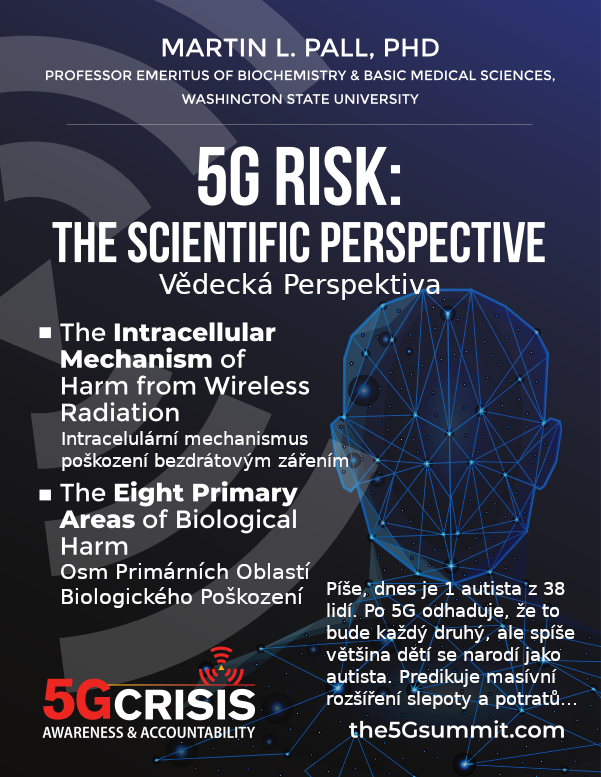 5G Risk - Vědecká Perspektiva