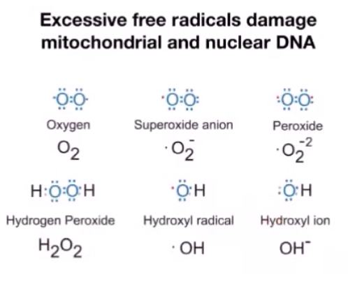 Electromagnetic effects on mitochondria - Free radicals