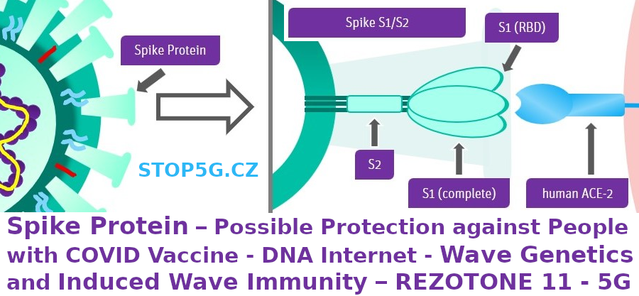 Spike Protein – Possible Protection against COVID Vaccine – DNA Internet – Wave Genetics and Induced Wave Immunity – REZOTONE 11
