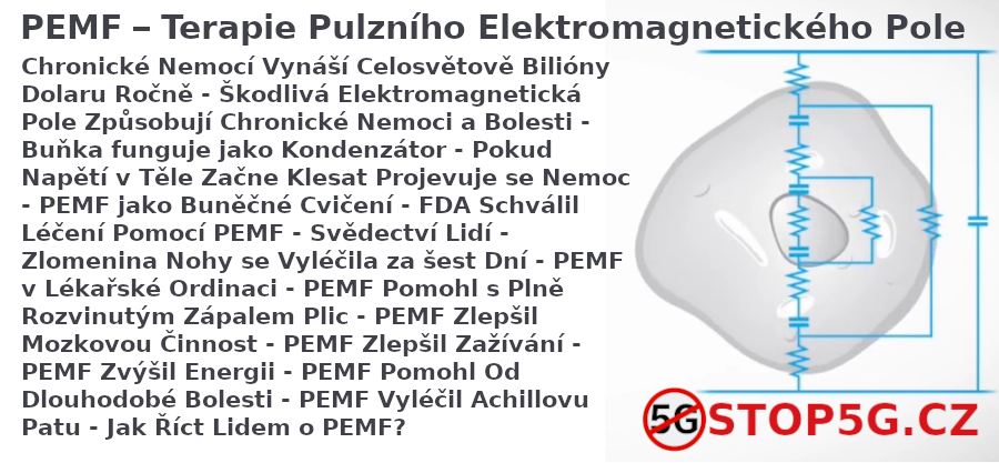 Účinná a Rychlá Léčba pomocí PEMF –  Pulzní Elektromagnetické Pole